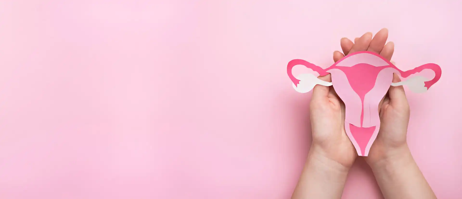 best gynecology doctor near me