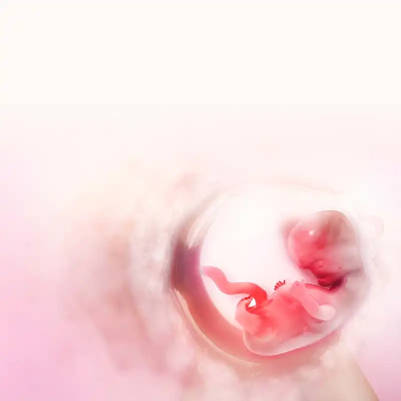 pregnancy treatment center in coimbatore